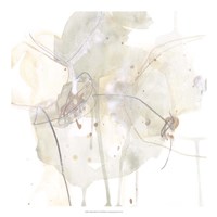 Subtle Shade II Fine Art Print