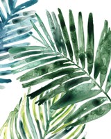 Tropical Leaf Medley II Framed Print