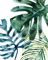 Tropical Leaf Medley III Framed Print