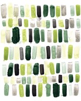 Jungle Palette II Framed Print