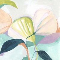 Fan Flowers I Framed Print