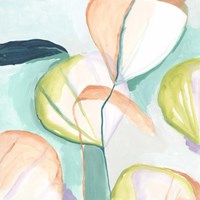 Fan Flowers III Framed Print