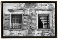 Catching the Breeze Fine Art Print