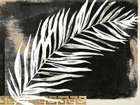 Immersion I Fine Art Print