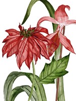 Merry Blossom II Fine Art Print