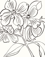 Self I Fine Art Print