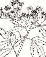 Self II Fine Art Print