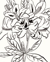 Self III Fine Art Print