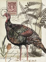 Autumn Palette IV Fine Art Print