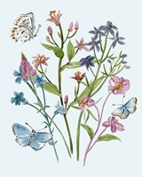 Wildflowers Arrangements I Fine Art Print