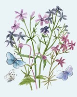 Wildflowers Arrangements II Fine Art Print