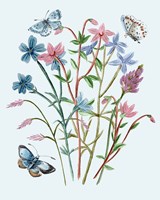 Wildflowers Arrangements III Fine Art Print