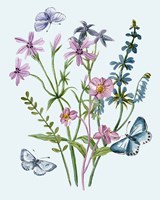 Wildflowers Arrangements IV Fine Art Print