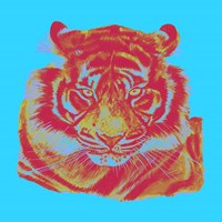 Pop Wild World II Fine Art Print