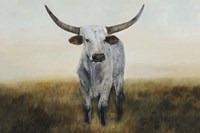 Knight in White Satin I Fine Art Print