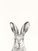 Animal Mug I Fine Art Print