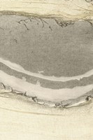 Flux I Fine Art Print