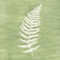 Forest Ferns III Fine Art Print