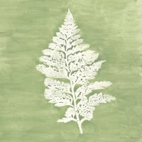 Forest Ferns IV Fine Art Print