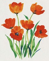 Red Tulips in Bloom I Fine Art Print