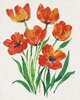 Red Tulips in Bloom II Framed Print