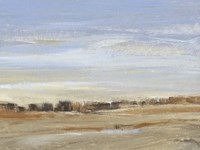 Soft Afternoon IV Fine Art Print