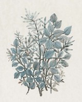 Leaf Arrangement I Framed Print