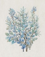 Leaf Arrangement III Framed Print