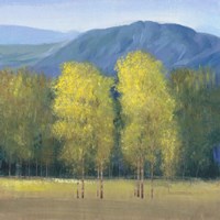 Shaft of Light II Fine Art Print