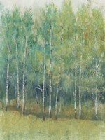 Woodland Edge I Fine Art Print