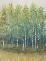 Woodland Edge II Fine Art Print