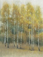 Woodland Edge III Fine Art Print