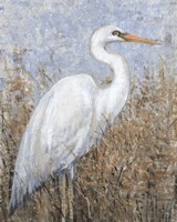 White Heron I Fine Art Print