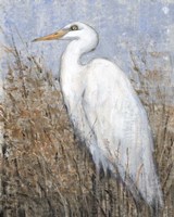 White Heron II Fine Art Print