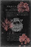 Pour La Mer I Fine Art Print