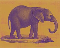 Safari Pop I Fine Art Print