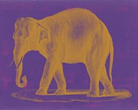 Safari Pop II Fine Art Print