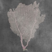 Natural Sea Fan I Fine Art Print