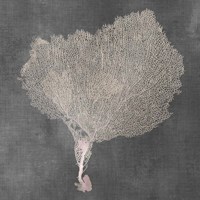 Natural Sea Fan VIII Fine Art Print