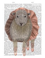 Ballet Sheep 1 Book Print Fine Art Print