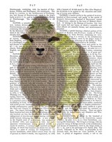 Ballet Sheep 2 Book Print Fine Art Print