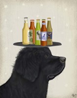 Pomeranian Beer Lover Fine Art Print