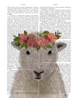 Sheep Bohemian 1 Book Print Fine Art Print