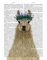 Llama Bohemian 1 Book Print Fine Art Print