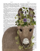Donkey Bohemian 2 Book Print Fine Art Print