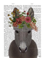 Donkey Bohemian 4 Book Print Fine Art Print