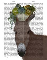 Donkey Succulent Book Print Fine Art Print