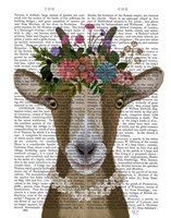 Goat Bohemian 3 Book Print Fine Art Print