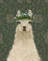 Llama Bohemian 1 Fine Art Print