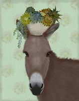 Donkey Succulent Fine Art Print